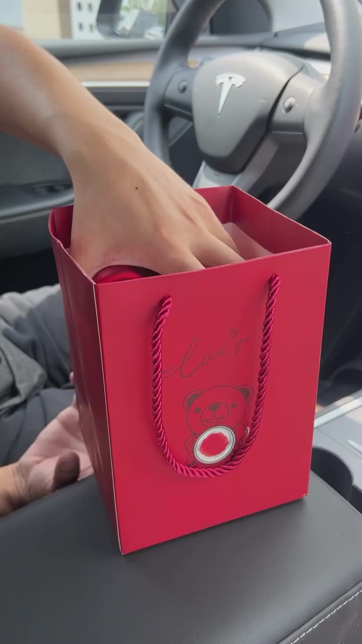 Coffret Spécial Ours Éternel 🌹